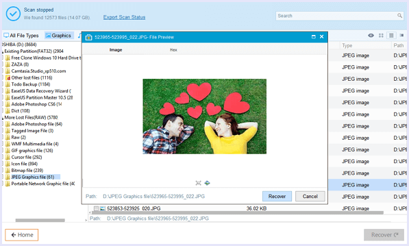 easeus data recovery scanned files