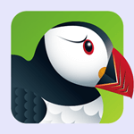 puffin