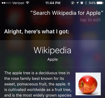 siri search web